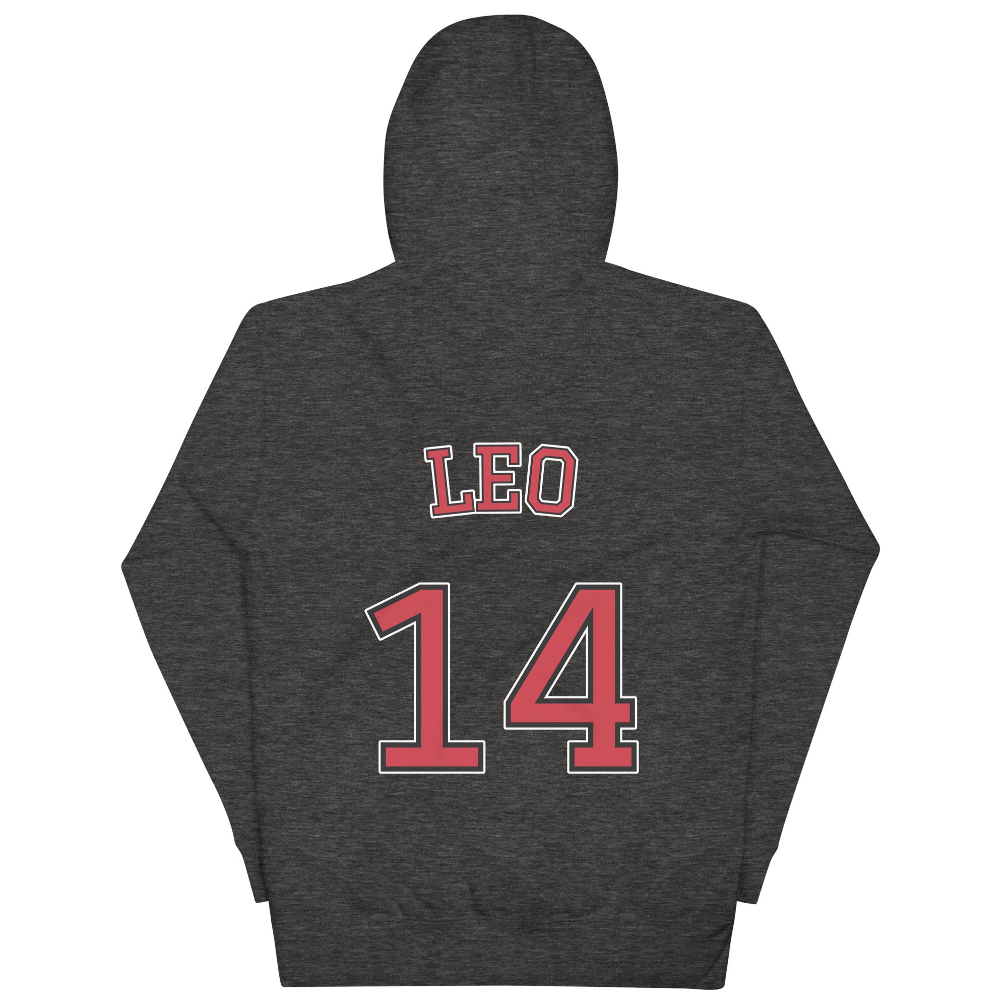 INFALLI-BULL Pope Leo XIV Unisex Hoodie – Leo XIV Apparel